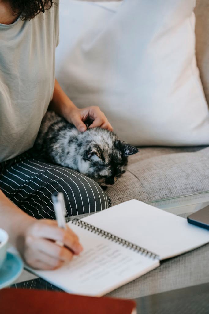 A woman writing notes on a sofa with a cat resting beside her. Perfect cozy workspace scene. Building wealth from scratch